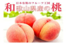 紀州和歌山産の桃　１５玉　化粧箱入	※2025年6月下旬～2025年8月上旬頃順次発送（お届け日指定不可）【uot780A】
