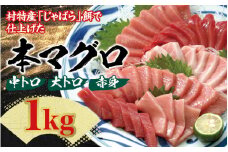 本マグロ（養殖）トロ＆赤身セット 1kg 【1ヶ月以内に発送】【配達日指定不可】 / まぐろ 鮪 とろ 赤身 魚介 海鮮 魚 本マグロ【nks105B】