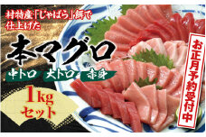 【年末発送（12月26日～30日発送）】本マグロ（養殖）トロ＆赤身セット1kg 【年内配送】【配達日指定不可】/ まぐろ 鮪 とろ 赤身 魚介 海鮮 魚 本マグロ【nks105-sg】
