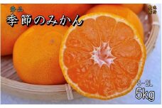 【S~2Lサイズおまかせ】秀品 季節のみかん(極早生・早生・中生・晩稲) 5kg 【2024年2月中旬～2024年2月下旬までに順次発送】＜味好農園＞/蜜柑 柑橘 果物 フルーツ みかん 早生 極早生 中生 晩稲 【agy003】