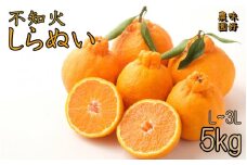 【L～3Lのサイズおまかせ】秀品 路地不知火 5kg【2024年2月中旬から2024年2月下旬頃に順次発送】＜味好農園＞/不知火 デコポン 蜜柑 みかん 柑橘 果物 フルーツ 【agy010B】