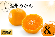 【2L～3Lサイズ】秀優品 大玉 温州みかん 8kg【2024年1月上旬から2024年２月下旬頃に順次発送】＜味好農園＞/ 温州 蜜柑 みかん 柑橘 果物 フルーツ ミカン 【agy011】