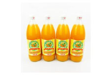 【和歌山県有田産】100%温州みかんジュース (970ml×4本セット)/ジュース みかん  【tss004A】
