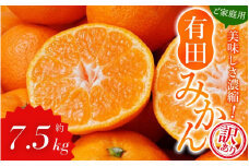 【訳あり】農家直送 有田みかん 約7.5kg ご家庭用 サイズ混合 ※2025年11月中旬より順次発送予定（お届け日指定不可）※北海道・沖縄・離島への配送不可 訳ありみかん みかん ミカン 蜜柑 柑橘 フルーツ 果物 くだもの 温州みかんサイズ混合 訳ありみかん 温州みかん 有機質肥料100% ふるさと納税 柑橘 有田 産地直送【nuk157D】 