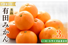 紀州有田みかん 秀品 ３kg（L・M・Sサイズおまかせ）　※2025年11月下旬～2026年1月中旬頃より順次発送予定【sml128A】