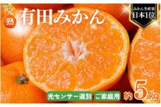 【2025年11月発送予約】 ご家庭用 こだわりの有田みかん 約5kg＋250g(傷み補償分)  光センサー選別 農家直送 / みかん ミカン 有田みかん 温州みかん 柑橘 フルーツ 果物 くだもの 旬 人気 みかん先行予約 家庭用 和歌山【nuk160-11】