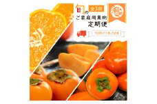 【全3回】紀州和歌山産旬のご家庭用果物定期便 (ひらたねなし柿・富有柿・みかん)【tkb379】