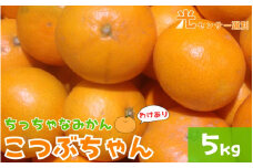 【訳あり】3S ちっちゃな有田みかん 5kg ※2024年11月中旬～2025年1月中旬までに順次発送予定（お届け日指定不可）※北海道・沖縄・離島への配送不可 訳ありみかん みかん ミカン 蜜柑 柑橘 フルーツ 果物 くだもの 温州みかんサイズ混合 訳ありみかん 有機質肥料100% ふるさと納税 柑橘 有田 産地直送【nuk163】