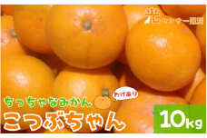 【訳あり】3S ちっちゃな有田みかん 10kg ※2024年11月中旬～2025年1月中旬までに順次発送予定（お届け日指定不可）※北海道・沖縄・離島への配送不可 訳ありみかん みかん ミカン 蜜柑 柑橘 フルーツ 果物 くだもの 温州みかんサイズ混合 訳ありみかん 有機質肥料100% ふるさと納税 柑橘 有田 産地直送【nuk164A】