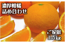 【先行予約】有田育ちの濃厚柑橘詰め合わせセット(ご家庭用)　約1.5kg【2025年1月中旬～4月下旬順次発送予定】【ard209】