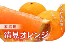 ＜2月より発送＞家庭用 清見オレンジ3.5kg+105g（傷み保証分）【光センサー食頃出荷】【樹上完熟きよみオレンジ・清見タンゴール・清美】【わけあり・訳あり】※北海道・沖縄・離島への配送不可【ikd199A】