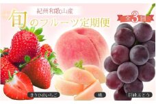 【全3回】紀州和歌山産 旬のフルーツ定期便（いちご・桃・巨峰） 【tkb400】
