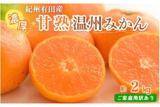 【先行予約】【家庭用 訳あり】紀州有田産 濃厚完熟 温州みかん 2kg  ※2024年11月下旬頃～2025年1月下旬頃に順次発送予定 / みかん ミカン 蜜柑 温州みかん 柑橘 フルーツ 果物 くだもの 和歌山【uot836】