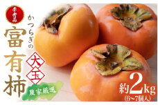【先行予約】 富有柿 秀品6～7個入り こだわり農家厳選 【2025年10月下旬頃～2025年11月下旬頃に順次発送】 | 柿 かき 果物 フルーツ 富有柿 デザート おやつ 和菓子 菓子 お菓子 和歌山産 和歌山県産【kgr019】