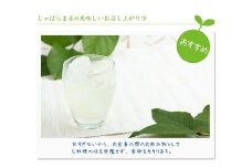 じゃばらまる 190ml×30本 | タイトル後【test-njb141A】