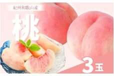 和歌山県産の桃 (3玉)【2025年6月中旬頃～8月上旬頃順次発送予定】 | 和歌山 もも 桃 甘い ギフト 贈り物 プレゼント 夏ギフト 果物 フルーツ 人気 産地直送 和歌山県 お取り寄せ【mat108】