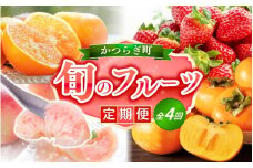 【定期便4回】フルーツ王国かつらぎ町よりお届け！旬のフルーツ定期便|【kgr025】