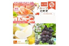 【全3回】紀州和歌山産旬のフルーツ定期便 (桃・梨・ピオーネ) 【tkb424】