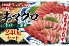 お正月に間に合う！ 本マグロ（養殖）トロ＆赤身セット 240g　【年末発送（12月25日～30日発送）】【配達日指定不可】【nks113-sg】