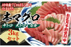 本マグロ（養殖）トロ＆赤身セット 3kg 【年末発送（12月25日～30日発送）】【配達日指定不可】【nks112-sg】