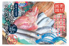 【訳あり干物セット】たっぷり25点以上！おざきのひもの「おまかせスペシャルセット」【ご好評につき再販決定】【冷蔵】【ozk102】