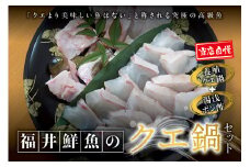 【先行予約】幻のクエ！和歌山県産 鍋＆湯浅ゆずポン酢セット くえ 鍋 セット【fki102】