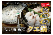 【先行予約】幻のクエ！国産 くえ刺身＆鍋 湯浅ゆずポン酢セット くえ 鍋 セット【fki103】