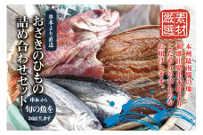 おざきのひもの 詰め合わせセット＜旬の魚をお届け！＞（Aセット） 【冷蔵】【ozk100】