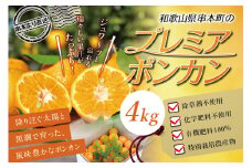 【先行予約】極上！プレミアポンカン 2L～3Lサイズ 4kg 【2025年1月上旬～2025年2月上旬発送予定】 柑橘 ぽんかん フルーツ みかん ミカン オレンジ 限定 旬【sse102】