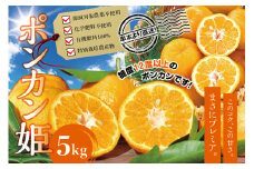 【先行予約】プレミア和歌山認定！ ポンカン姫 5kg 【2025年1月上旬～2025年2月上旬発送予定】 数量限定の極上ポンカン 柑橘類 ぽんかん フルーツ 果実 みかん ミカン オレンジ 旬 限定【sse103】