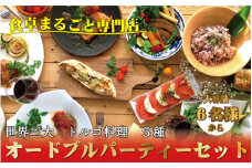 世界三大料理トルコの味を知り尽くしたオーナーシェフが贈るパーティーセット（6名様～）誕生日 お正月 クリスマスに / オードブル ケバブ ハンバーグ 惣菜 お惣菜 おかず パーティー クリスマス 正月【kcr102】