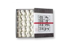 【プレミア和歌山】串本儀平 百年のこだわりの餡 うすかわ饅頭 20個入り（化粧箱入）/ 饅頭 まんじゅう うすかわ 和菓子 菓子 あんこ【ghi104】