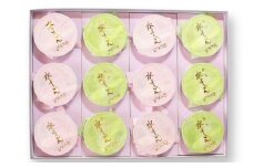 国産小豆・抹茶を使用 無添加 水ようかん 12個入り (2025年6月～発送予定）/ 羊羹水 ようかん 小豆 抹茶 無添加 和菓子 ギフト 贈答【ghi107】