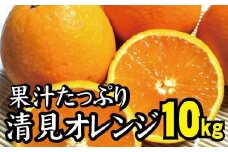 【農家直送】果汁たっぷり！清見オレンジ 約10kg  有機質肥料100% サイズ混合 先行予約 ※2024年3月上旬より順次発送予定（お届け日指定不可）【nuk113A】