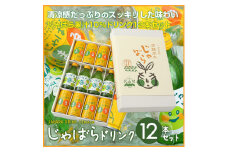 じゃばらドリンク12本セット【njb121】