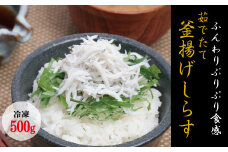 茹でたて釜揚げしらす　海の恵　500g【冷凍】 無添加・無着色 しらす シラス 釜揚げ 冷凍【mar102】