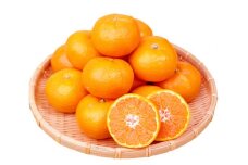高級ブランド田村みかん　5kg【予約】※2024年11月下旬頃〜2025年1月下旬頃に順次発送予定(お届け日指定不可)【uot504A】