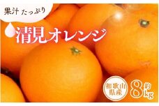 清見オレンジ約8kg / 果実サイズおまかせ ※2025年2月中旬～2025年4月下旬頃に発送予定　紀伊国屋文左衛門本舗【kstb401B】