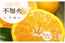 デコ不知火（デコポン） 約3kg/サイズおまかせ　※2025年2月上旬～2025年4月上旬頃に順次発送予定(お届け日指定不可)　紀伊国屋文左衛門本舗　【kstb421B】