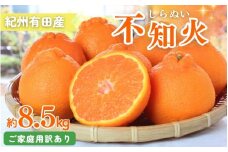 【ご家庭用訳あり】紀州有田産不知火(しらぬひ) 約8.5kg 【予約】※2026年2月中旬頃〜2026年3月中旬頃に順次発送予定(お届け日指定不可)【uot507A】