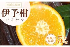 伊予柑(いよかん) 約5kg/サイズおまかせ　※2025年1月中旬～2025年2月中旬頃に順次発送予定(お届け日指定不可)　紀伊国屋文左衛門本舗　【kstb441A】
