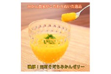濃厚！田村そだちみかんゼリー【uot100】
