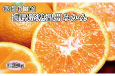 完熟有田みかん　10kg　 【来シーズン先行予約】※2025年11月下旬頃〜2026年1月下旬頃に順次発送予定(お届け日指定不可)【uot705】