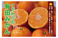 【農家直送】有田みかん 約10kg 大玉サイズ 3L以上 有機質肥料100% サイズ混合 ※2021年12月初旬～1月中旬に順次発送(お届け日指定不可)【nuk140】