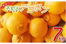 ＼光センサー選別／ 【訳あり】ちょこっと訳あり不知火デコポン 約7kg【ご家庭用】 先行予約 訳あり デコポン みかん ※2025年2月中旬より順次発送予定（お届け日指定不可）【nuk120C】