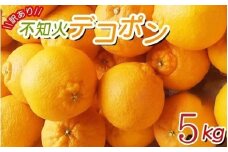 ＼光センサー選別／ 【訳あり】ちょこっと訳あり不知火デコポン 約5kg【ご家庭用】 先行予約 訳あり デコポン みかん ※2026年2月中旬より順次発送予定（お届け日指定不可）【nuk120D】