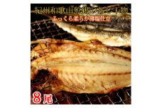 和歌山魚鶴の国産あじ干物8尾【uot774】