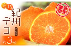 果肉プリプリ♪　完熟紀州デコ(不知火) 約3kg ＜2026年2月下旬頃〜2026年3月中旬頃発送＞【uot706A】