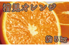 【予約】【ジューシー】清見オレンジ 5kg　※2026年3月下旬頃～2026年4月中旬頃に順次発送予定（お届け日指定不可）【uot710-2】