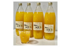 【果汁100%】無添加！贅沢絞りの有田みかんストレートジュース1000ml ×4本セット【nuk122】